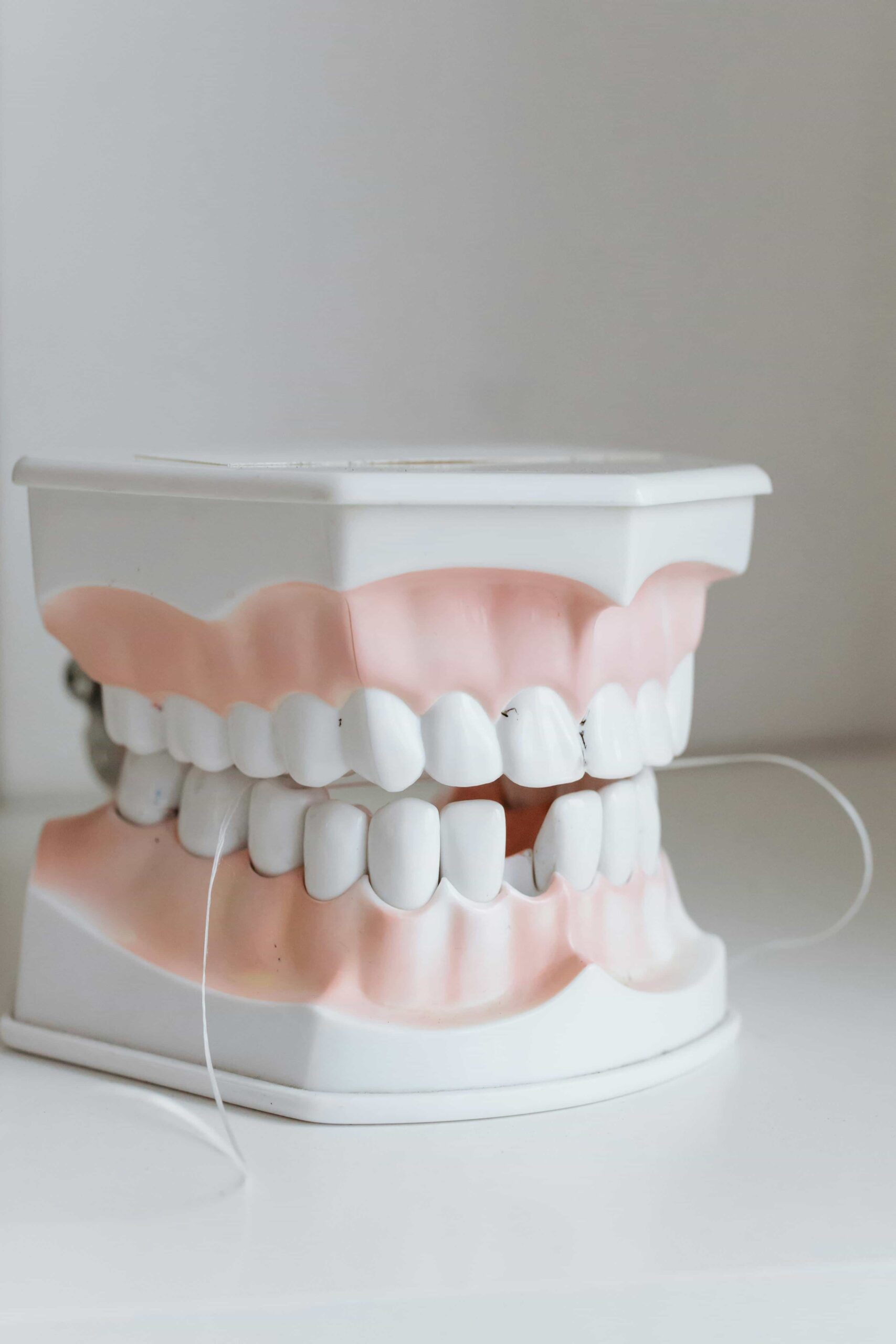 Helpful Fowler Orthodontics Tips & Info 106 floss on fake teeth